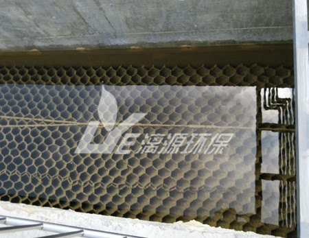 畜禽養(yǎng)殖業(yè)廢水對環(huán)境的危害有哪些呢？