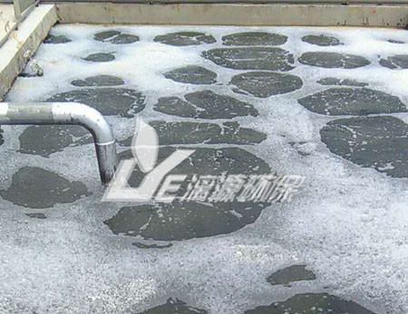 杏鮑菇廢水處理該選用“混凝沉淀”還是“混凝氣浮”？