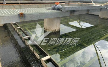 含溶劑廢水處理方法 含溶劑廢水處理方法