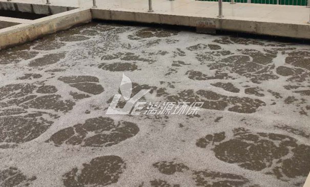 處理花青素生產(chǎn)廢水的方法 處理花青素生產(chǎn)廢水的方法