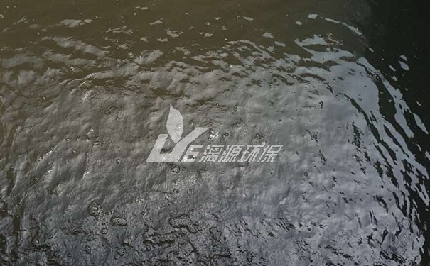 處理中央廚房污水的裝置 處理中央廚房污水的裝置