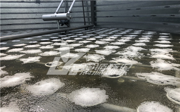 葉黃素提取廢水處理方法 葉黃素提取廢水處理方法