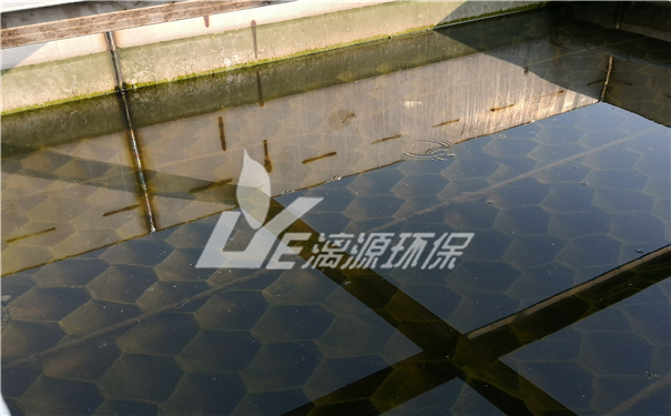 大蒜廢水處理技術 大蒜廢水處理技術