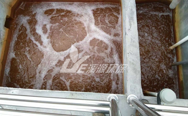 鯨蠟硬脂醇生產廢水處理方法 鯨蠟硬脂醇生產廢水處理方法