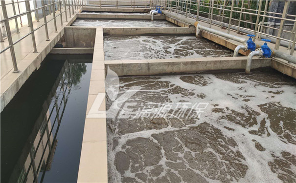 銀杏葉提取物生產(chǎn)廢水處理工藝 銀杏葉提取物生產(chǎn)廢水處理工藝